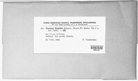 Image Associated With the Occurence